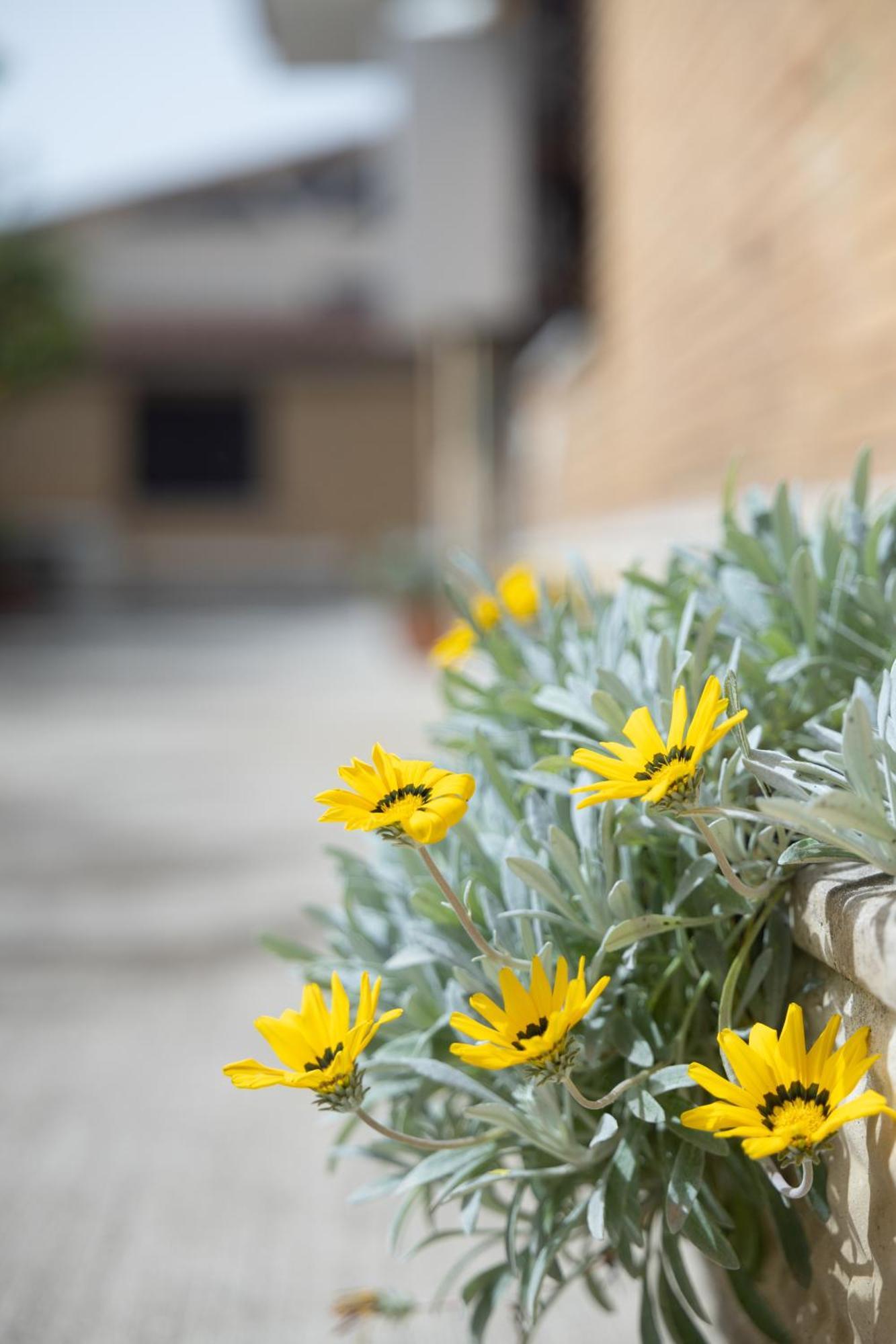 Casa Vacanze Alla Maison Fiumicino Bagian luar foto